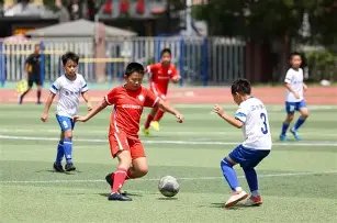 申京,新星,约基奇启迪,yy易游体育官方,yy易游中国体育,YY易游体育官方网站,yy易游体育app下载