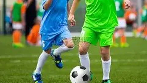 yy易游体育官方 产品 083424 p55