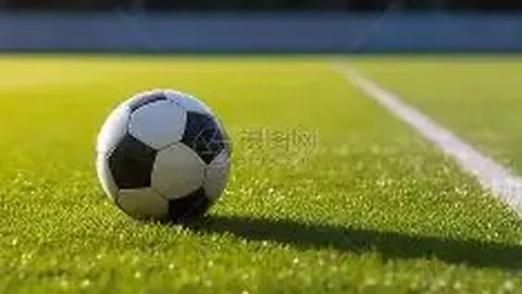 yy易游体育官方 产品 083346 i8i