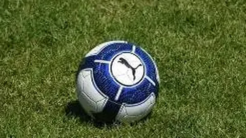 yy易游体育官方 资讯 083159 ldi