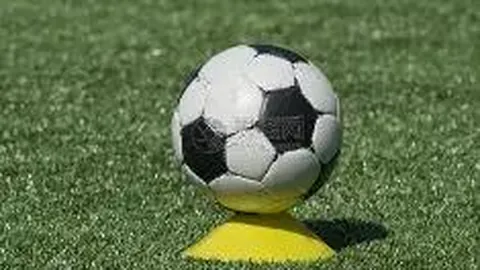 yy易游体育官方 产品 013111 r16