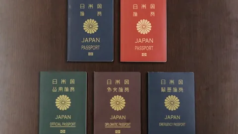 yy易游体育官方 产品 083145 3jl