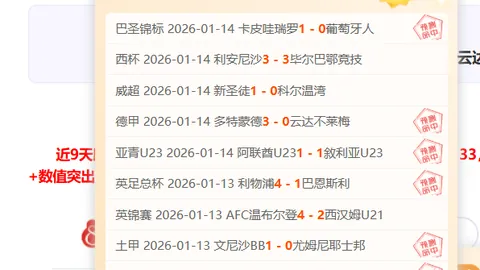 沃特金斯面临阿斯顿维拉冬季转会离队危机