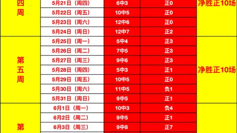 婆罗洲主场大捷近6战5胜走势深度解析，普利达迎挑战